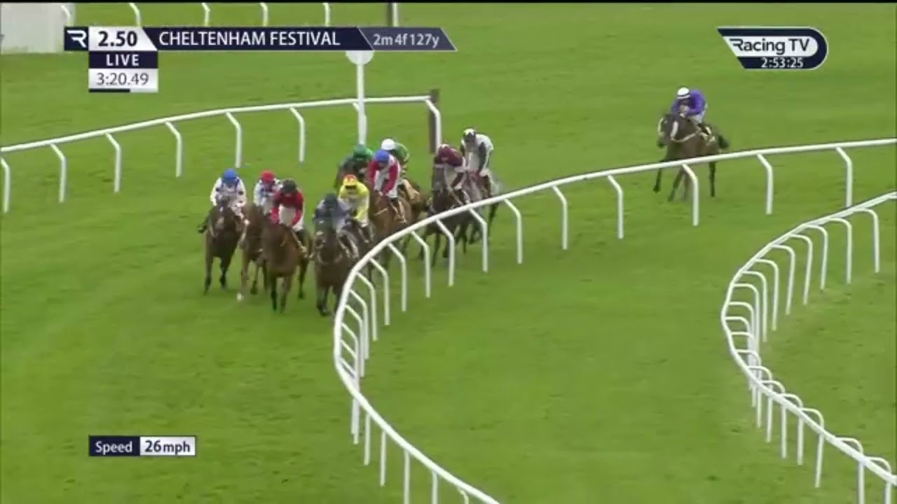 ( PROTEKTORAT)(G1)Ryanair Chase 3 Race Cheltenham 14 Mar 2024