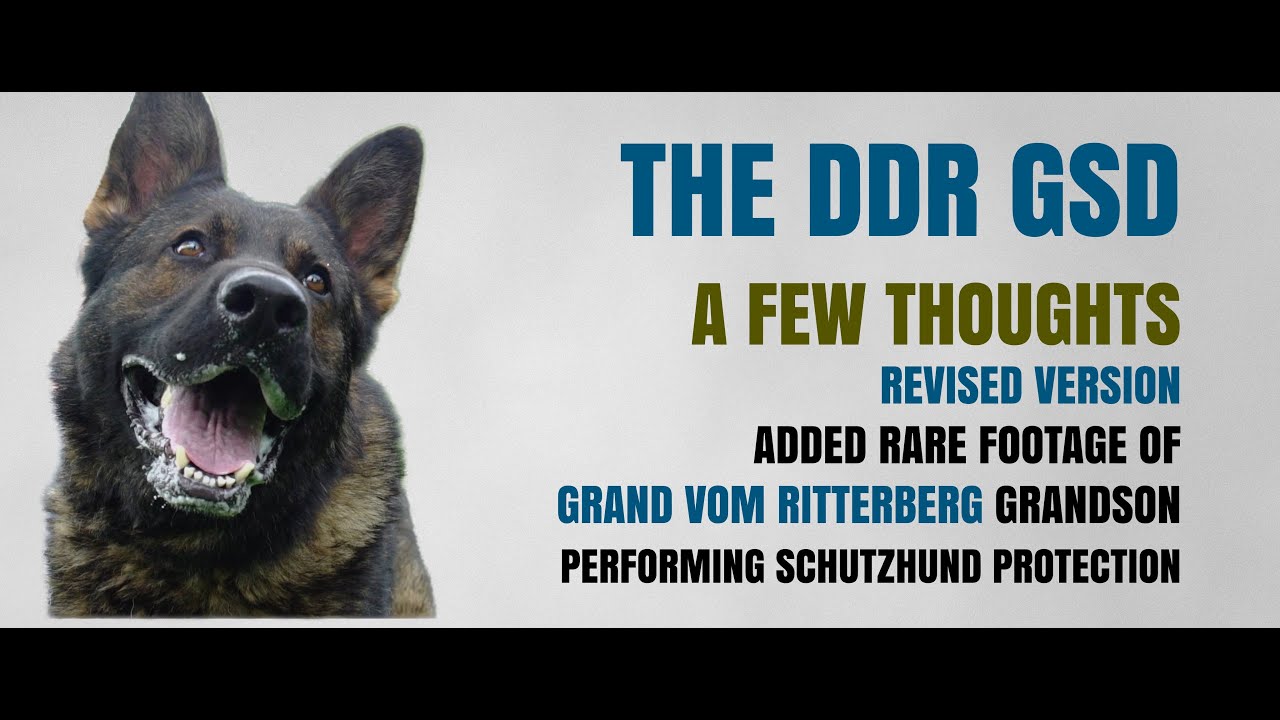 The DDR GSD - Revised