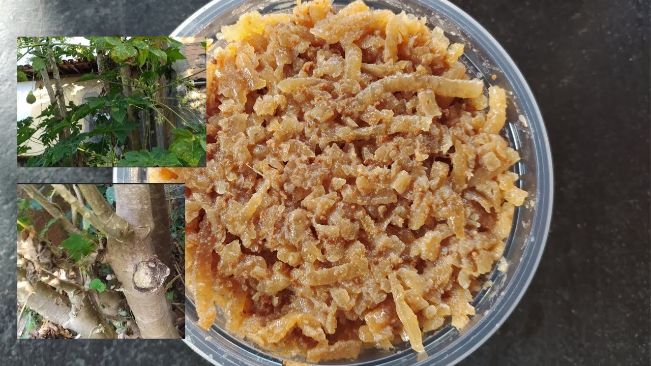 Como fazer doce de pau de mam&atilde;o