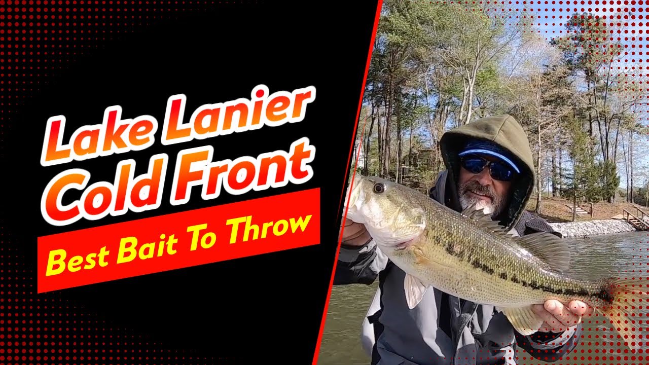Lake Lanier Cold Front / Best Bait to Throw #lakelanierfishing