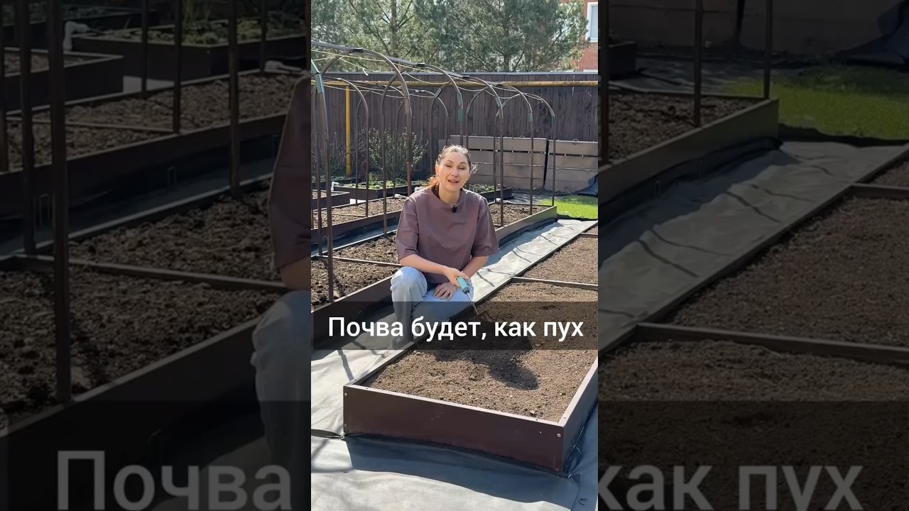 Как улучшить почву в грядках #почва #огород #грунт #садоводничество #сад