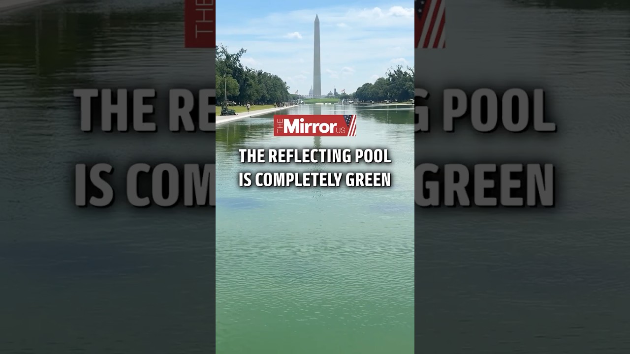 Lincoln Memorial Reflecting Pool turns bright green