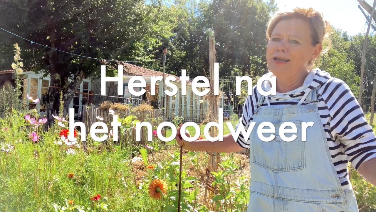 Ini's Moestuin #106 -  Herstel moestuin na verwoestend noodweer, maar ook verrassende oogst.