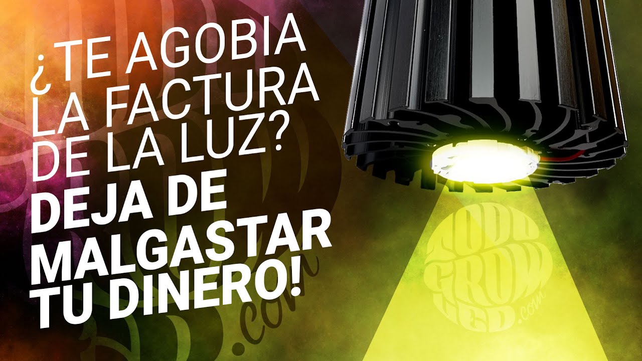 💡🥵 &iquest;TE AGOBIA LA FACTURA DE LA LUZ?  &iexcl;DEJA DE MALGASTAR TU DINERO! 💸🙅🏻&zwj;♂️