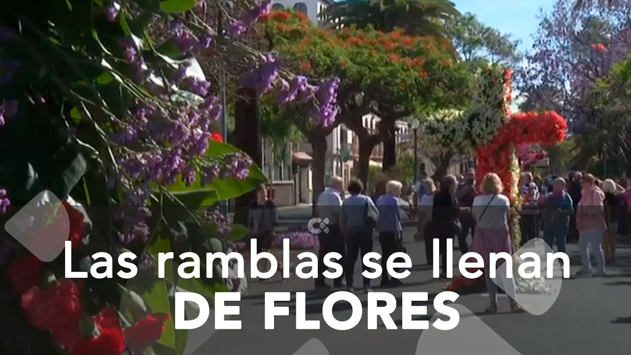 3 de Mayo en Santa Cruz de Tenerife