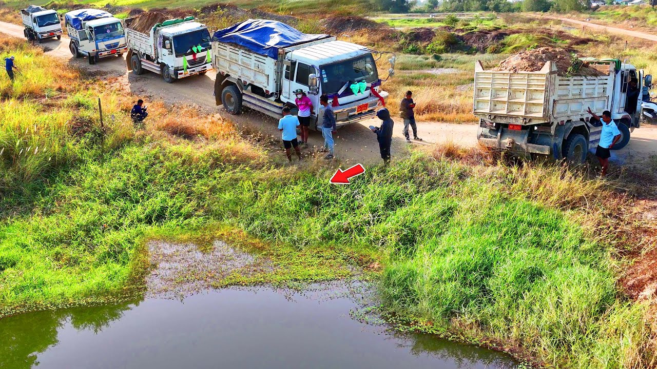 Processing New Landfill Site use Dump Truck 5-Ton with Dozer Pour Soil into flooded Land!! Mix VDO 