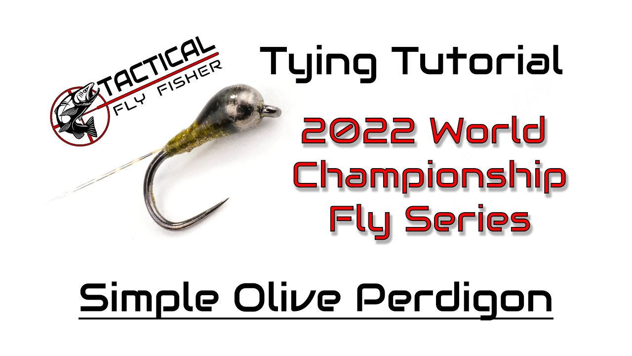 2022 World Championship Flies - Simple Olive Perdigon Tutorial