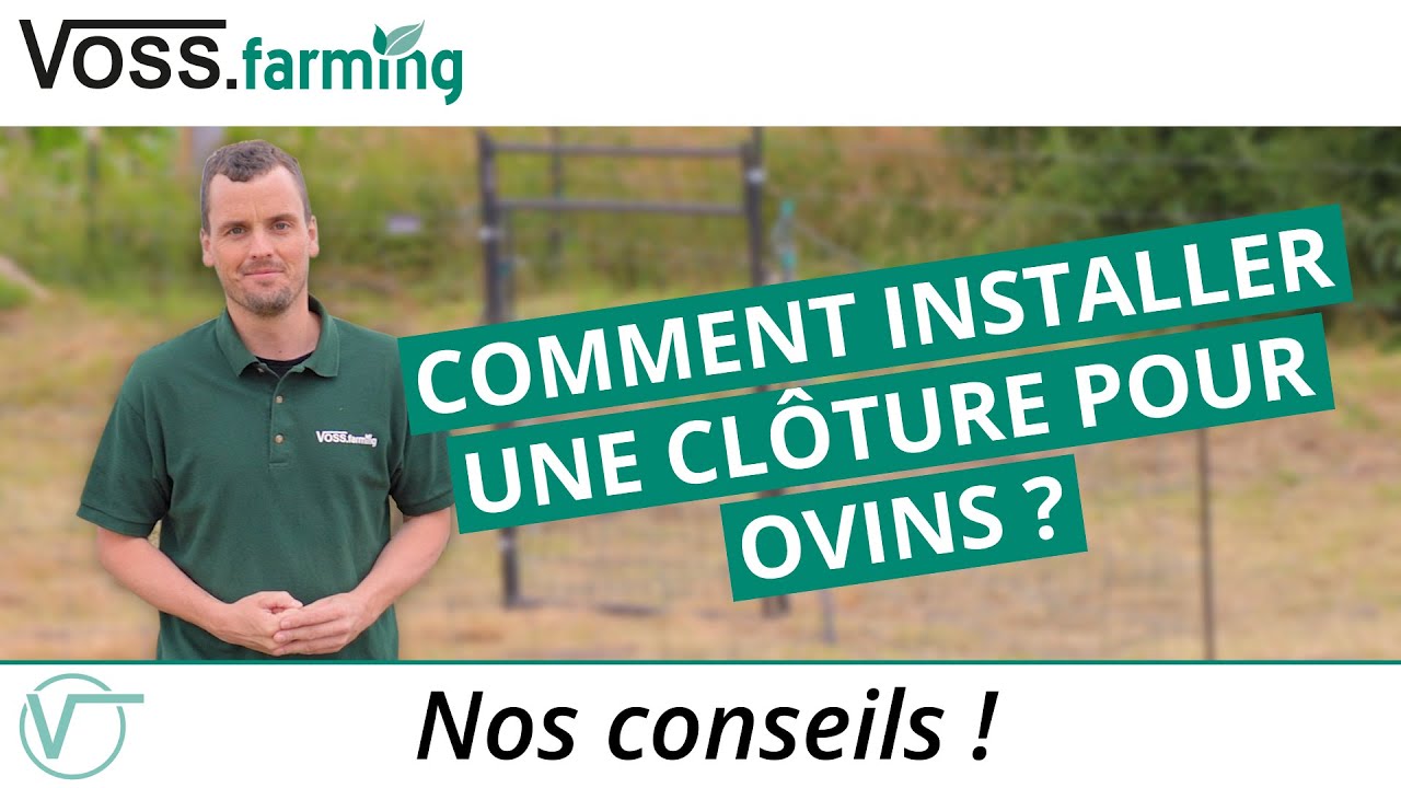 Comment installer une clôture à moutons ?