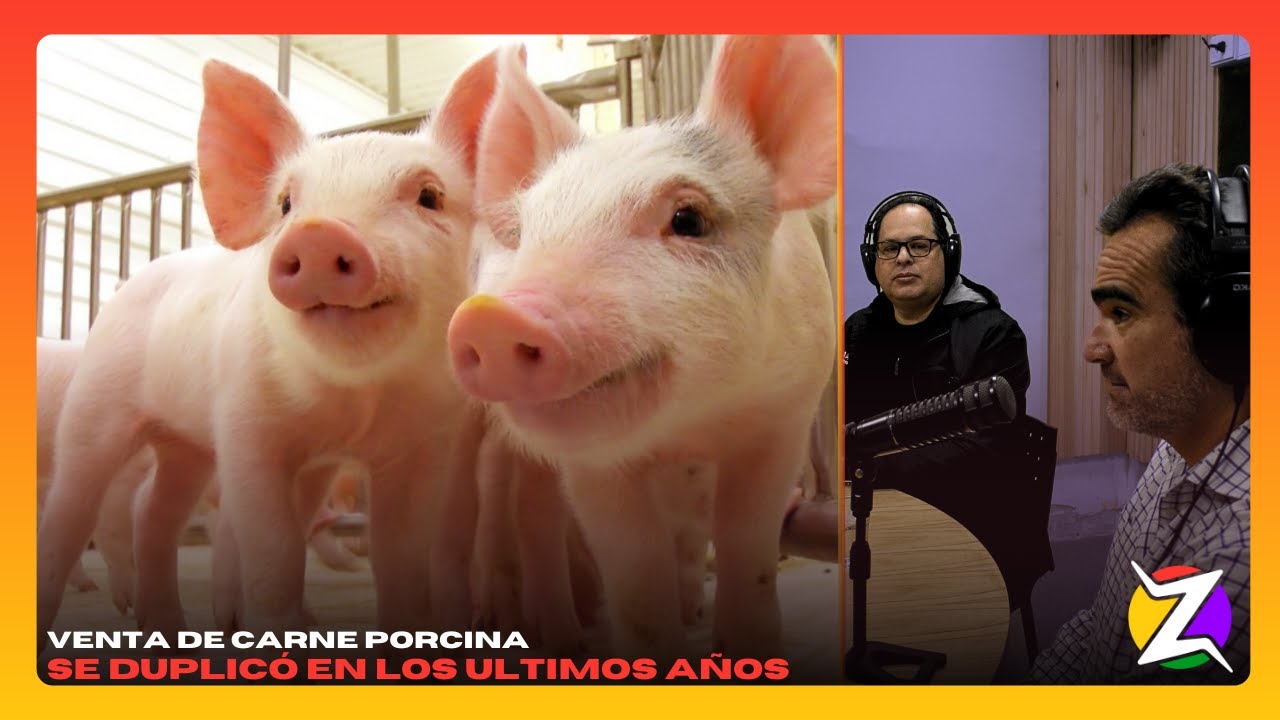 C&Oacute;DIGO DE BARRAS | Caba&ntilde;a Argentina, treinta a&ntilde;os en la producci&oacute;n del cerdo