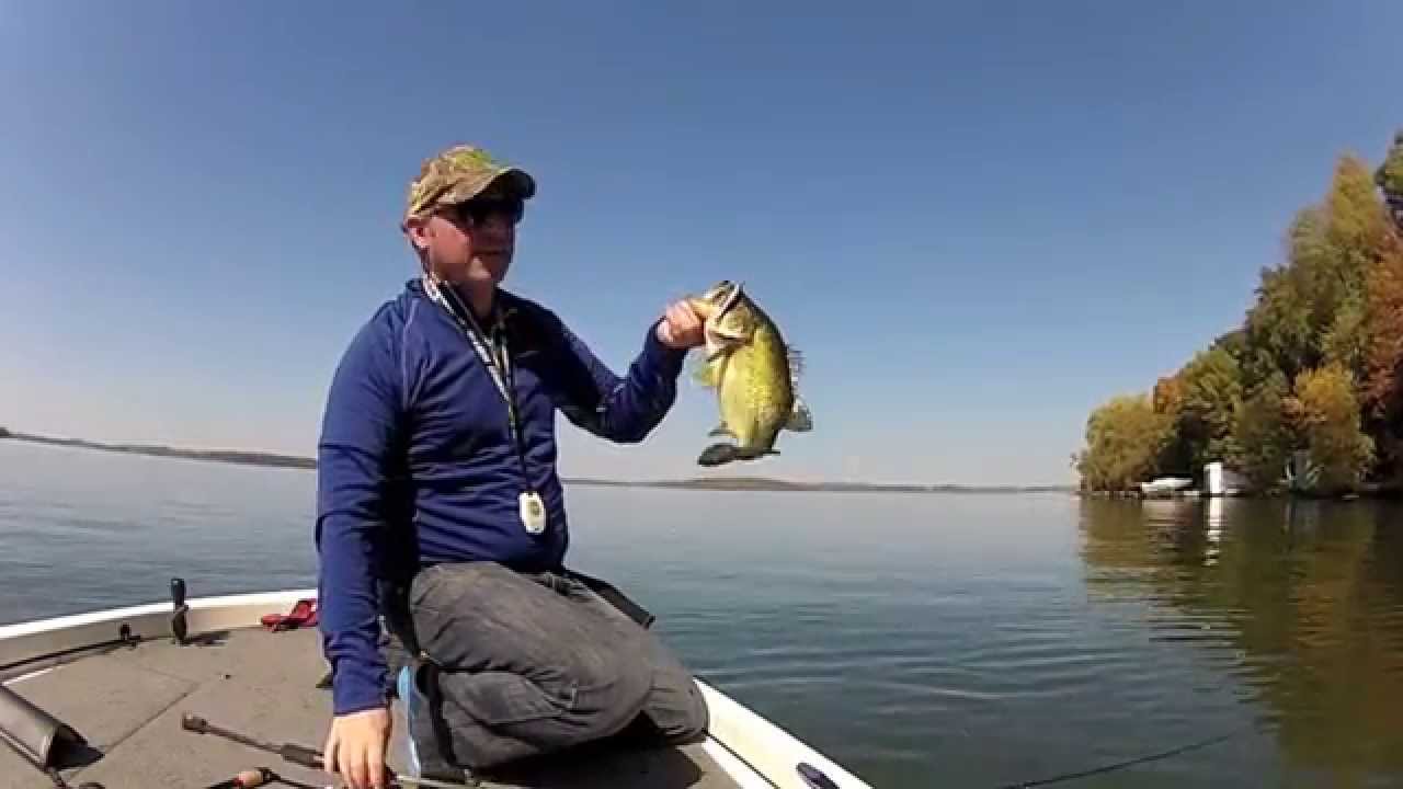 Spybaiting Simplified