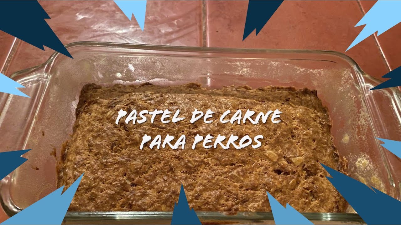 Pastel de carne para perros