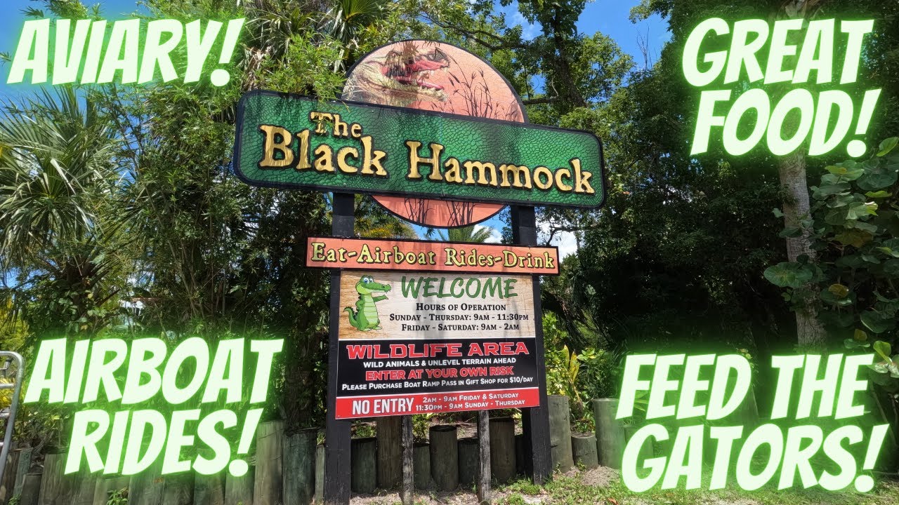 The Black Hammock Airboat Rides, Alligators and Food. Oviedo Florida