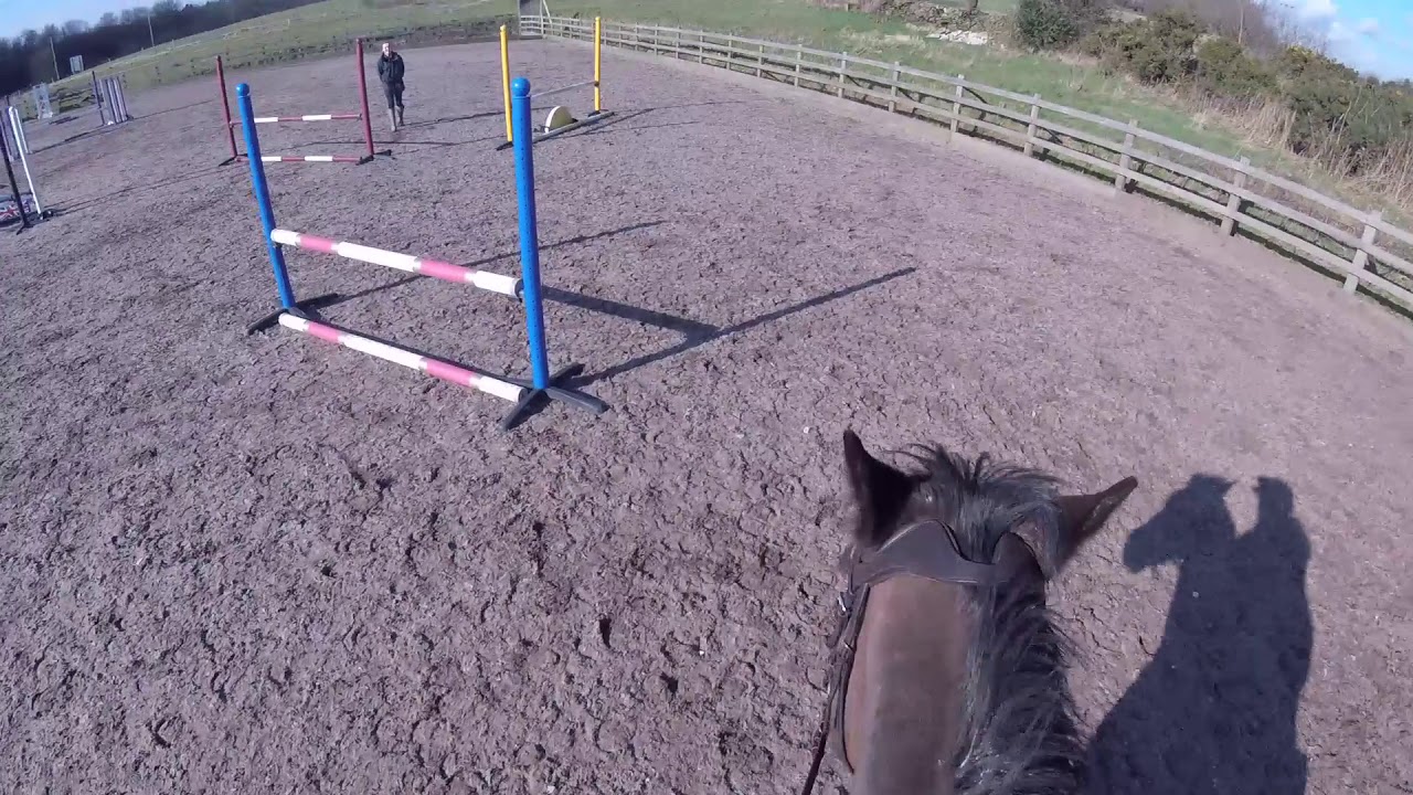 Jump lesson #6 - 80cm course ODE prep (GoPro HeadCam)