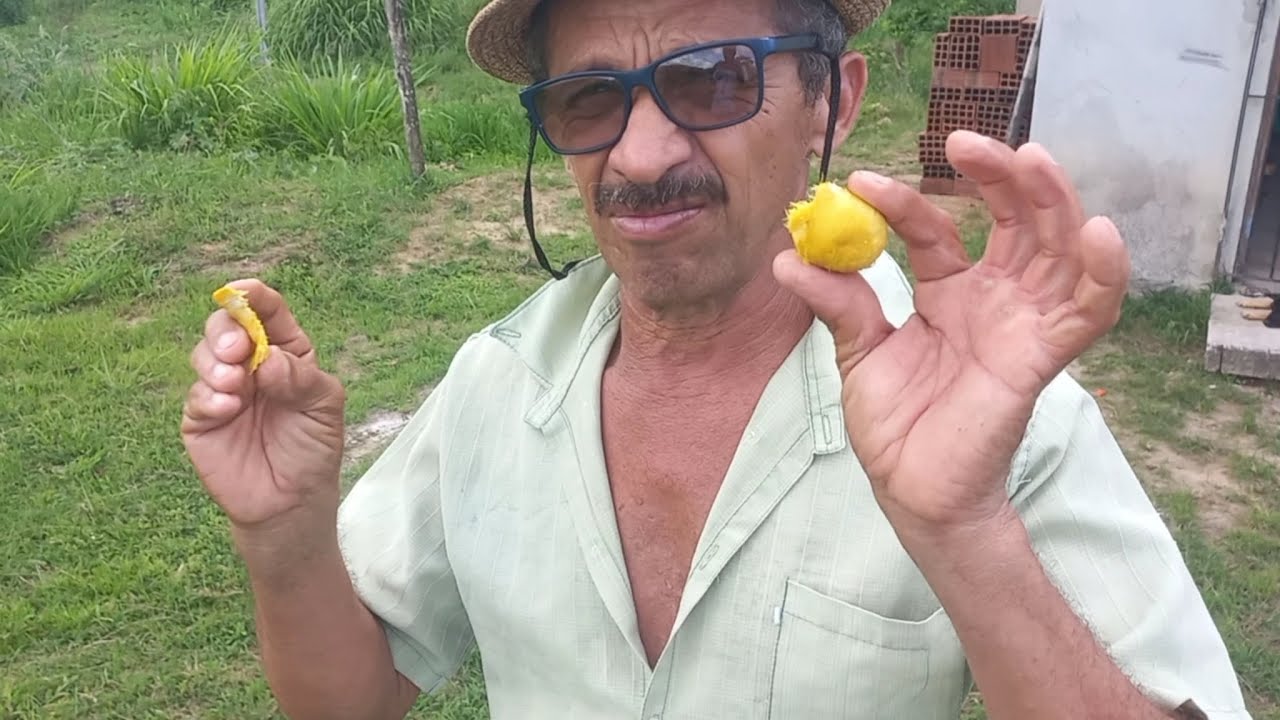 Os BENEFÍCIOS DA MACAÍBA!!![Fazenda Aero-terra]