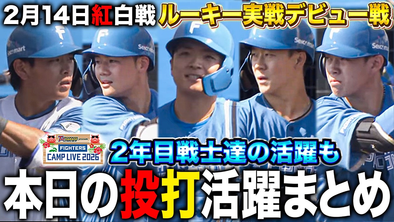 大川慈英が実戦初登板！四番起用の郡司裕也＆野村佑希が揃って打点‼️紅白戦見どころまとめ＜2/14ファイターズ春季キャンプ2026＞