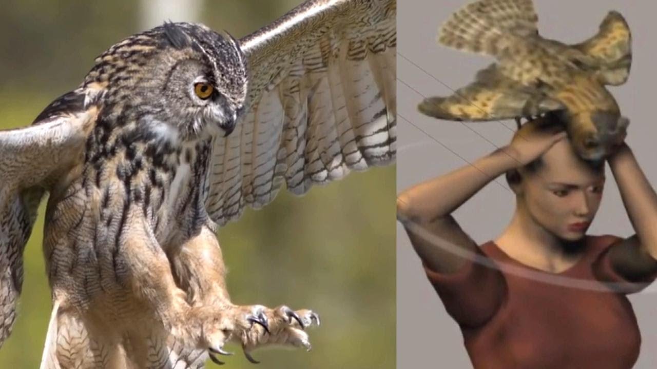 Is an Owl to Blame for Mysterious Death in Netflix Series 'The Staircase?'