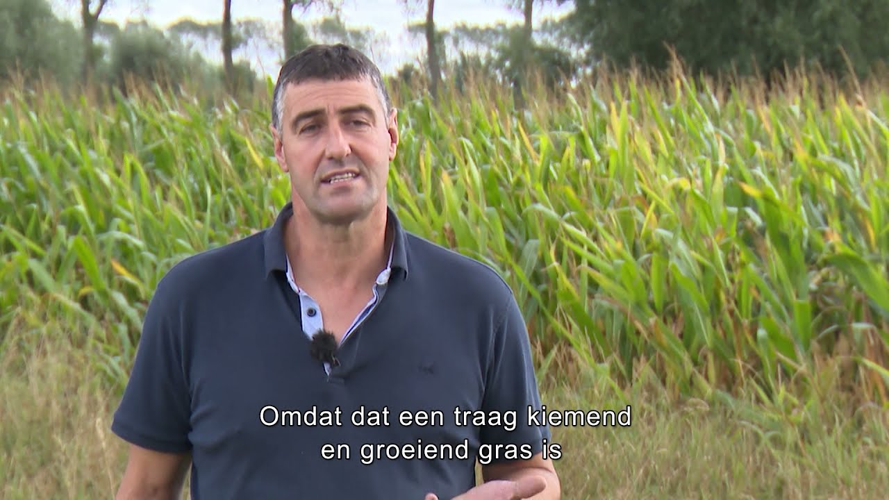 Carbon Farming: vier landbouwers aan het woord