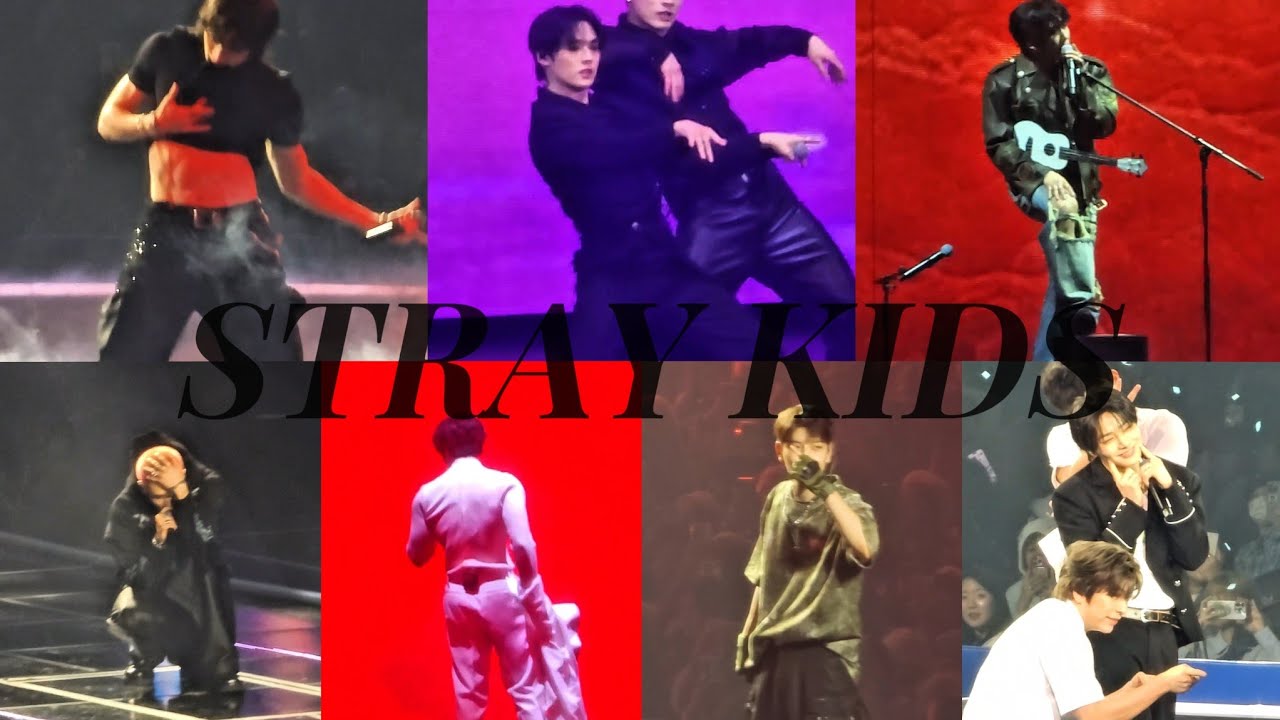 250216 스트레이 키즈 팬미팅 day3 솔로곡 체인지 Solo Stage  all #straykids #스키즈 #스키즈팬미팅