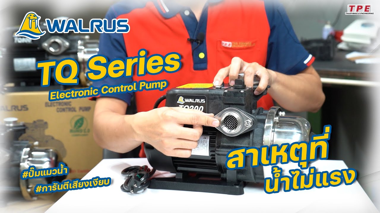 ทริคดีดี กับ Walrus EP.15 สาเหตุและวิธีแก้ไขปั๊มน้ำไม่แรง รุ่น TQ200 TQ400 TQ800│Low water pressure