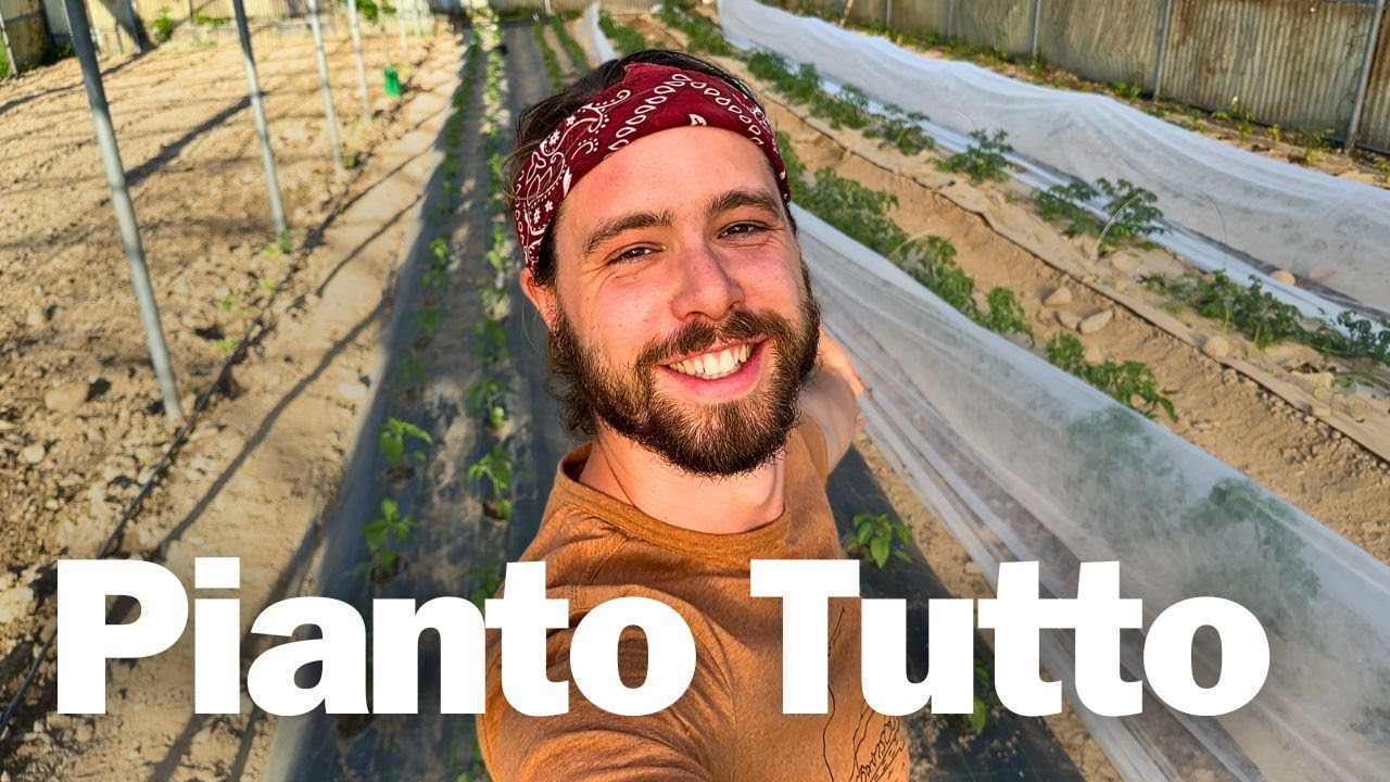 Orto Primaverile: Segreti dei Trapianti per un Raccolto Eccezionale