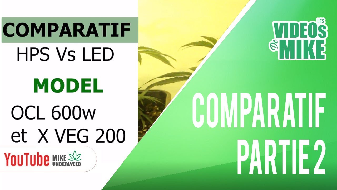 Comparatif HPS 600w vs FOG X-VEG 200 - Partie 2