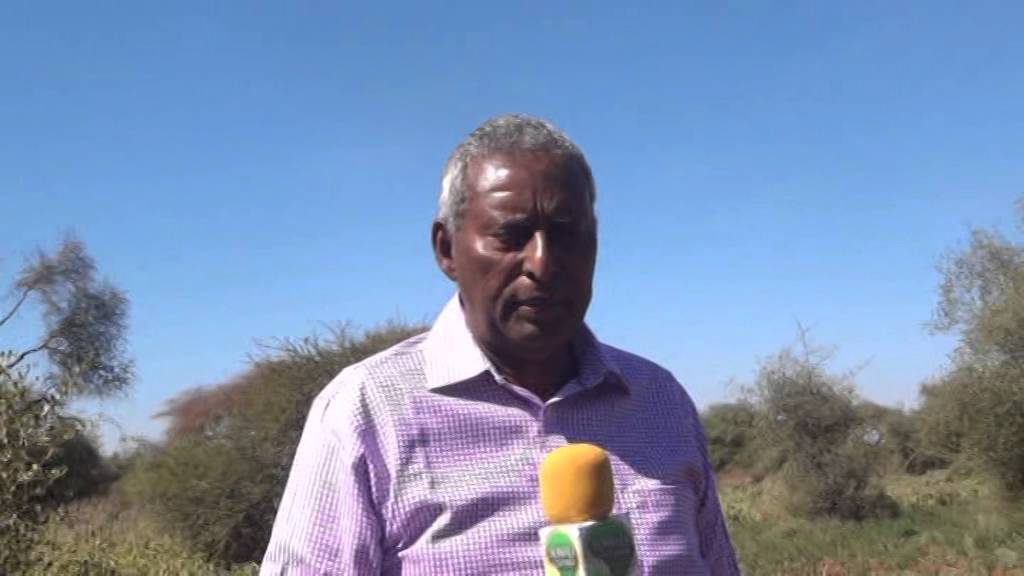 Waraysi Maxamuud xasan Xaaji Cumar