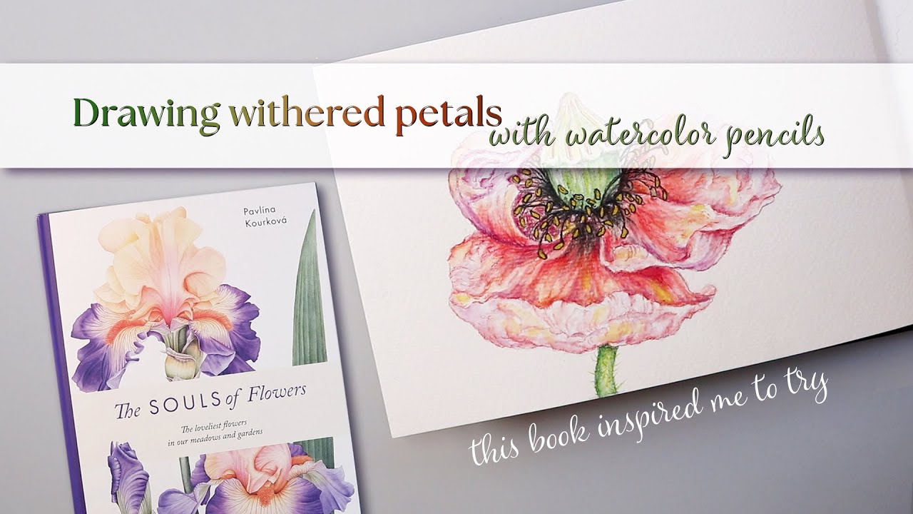 Inspired by this book I drew highly detailed flower petals for the 1st time | Watercolor pencils