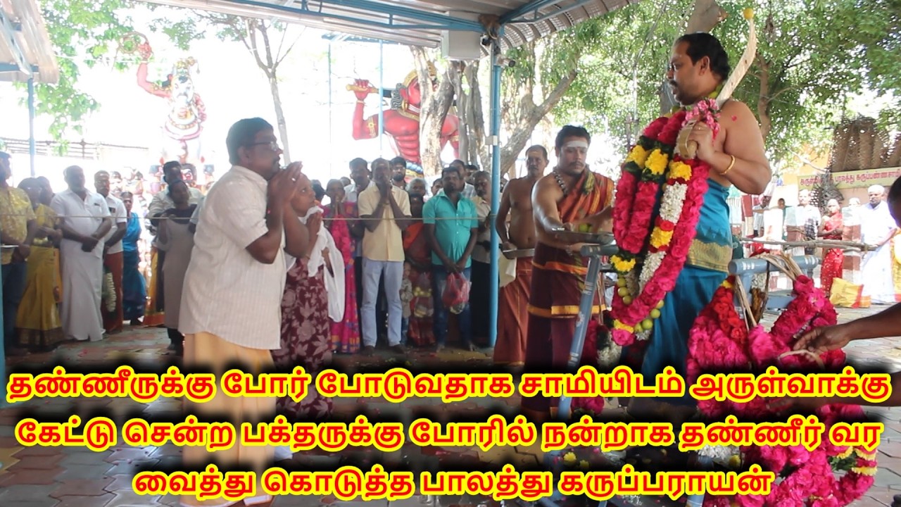 அருள்வாக்கு பாகம்-1(6.2.2026)வெள்ளிக்கிழமை ஸ்ரீ பாலத்து கருப்பண்ணசாமி திருக்கோயில் பாரியூர்,கோபி.