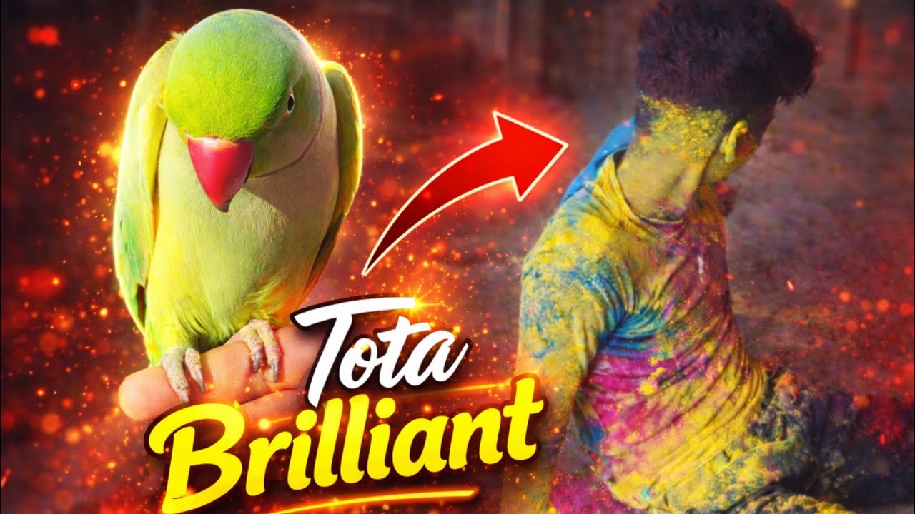 Tote ko ye kisne sikhaya bhai saab | Tote ki story#trendingshorts#viral #youtube 