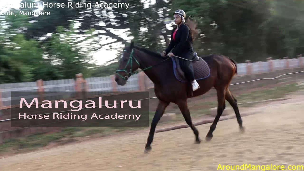 Mangaluru Horse Riding Academy - Kadri, Mangalore