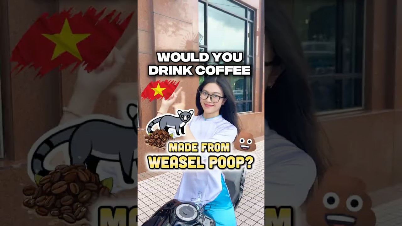 Would you drink coffee made from Weasel Poop?