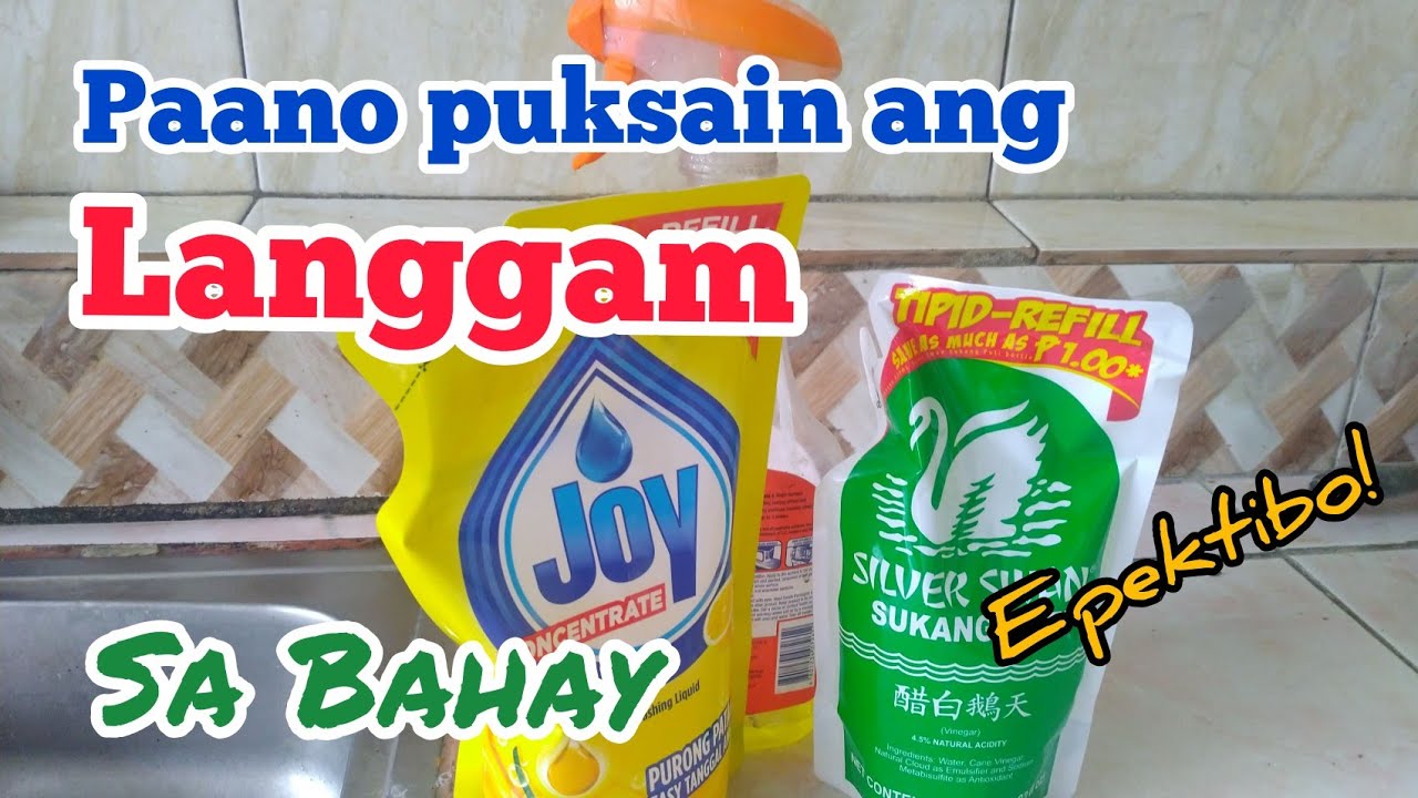 Paano puksain ang langgam sa bahay simpleng paraan/how to get rid of ants at home