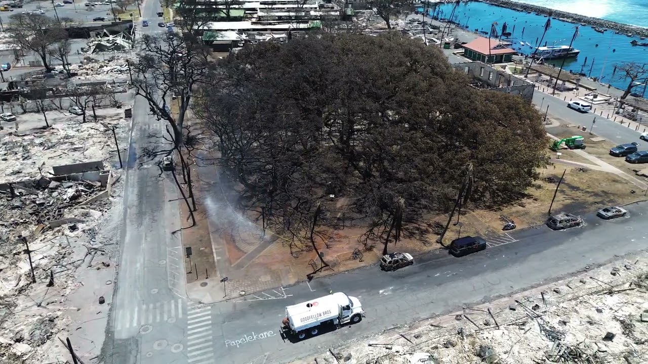2023-08-12 Lahaina Maui fire drone 2 of 5  - GOOD NEWS banyan tree watering