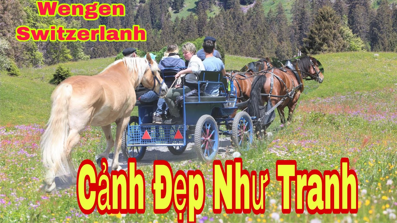 Cảnh đẹp Thụy Sĩ,Wengen- Switzerland Cảnh đẹp ở Wengen Thuỵ Sĩ 🇨🇭 2020,UNESCO -canh dep Thuy si