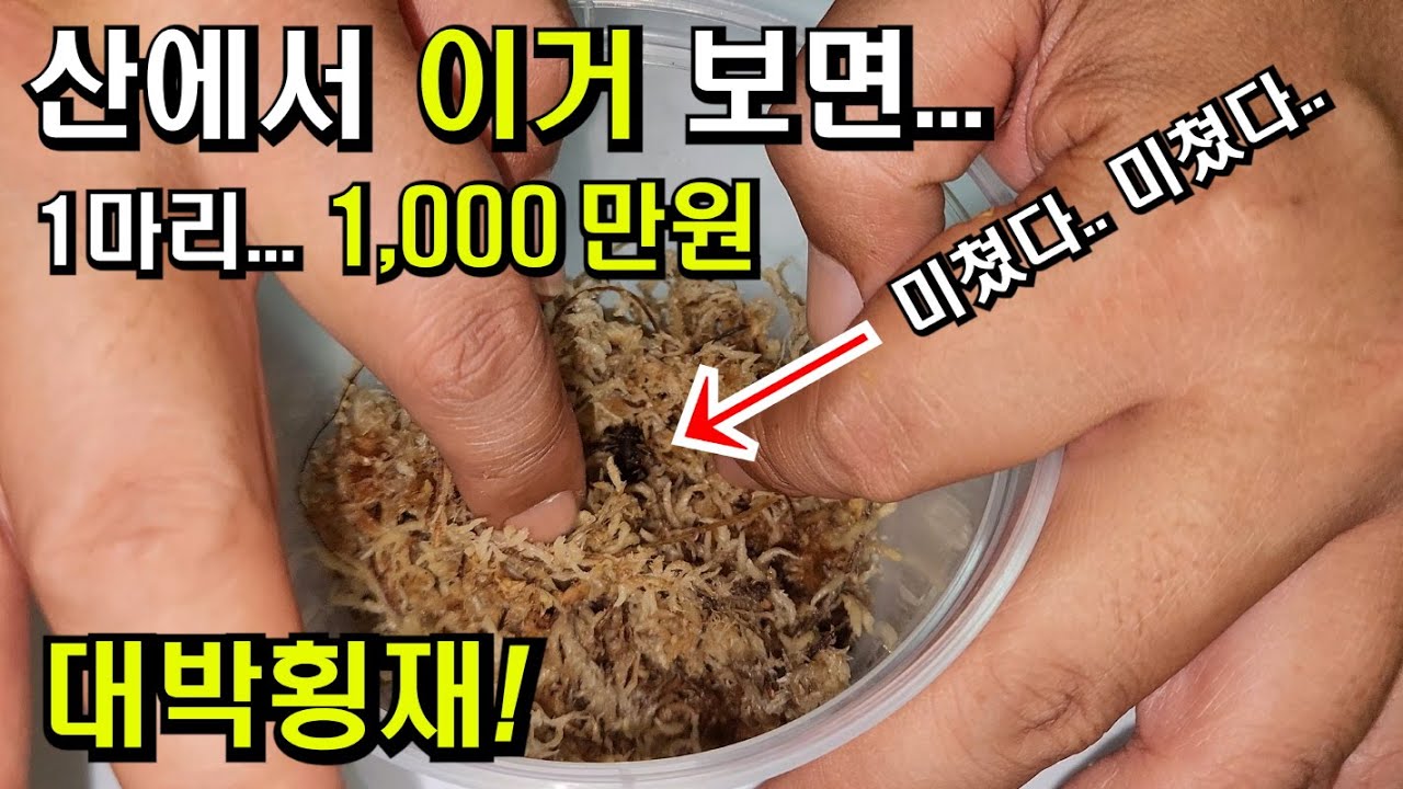 한 마리 1,000만원 여러분도 찾아보세요.