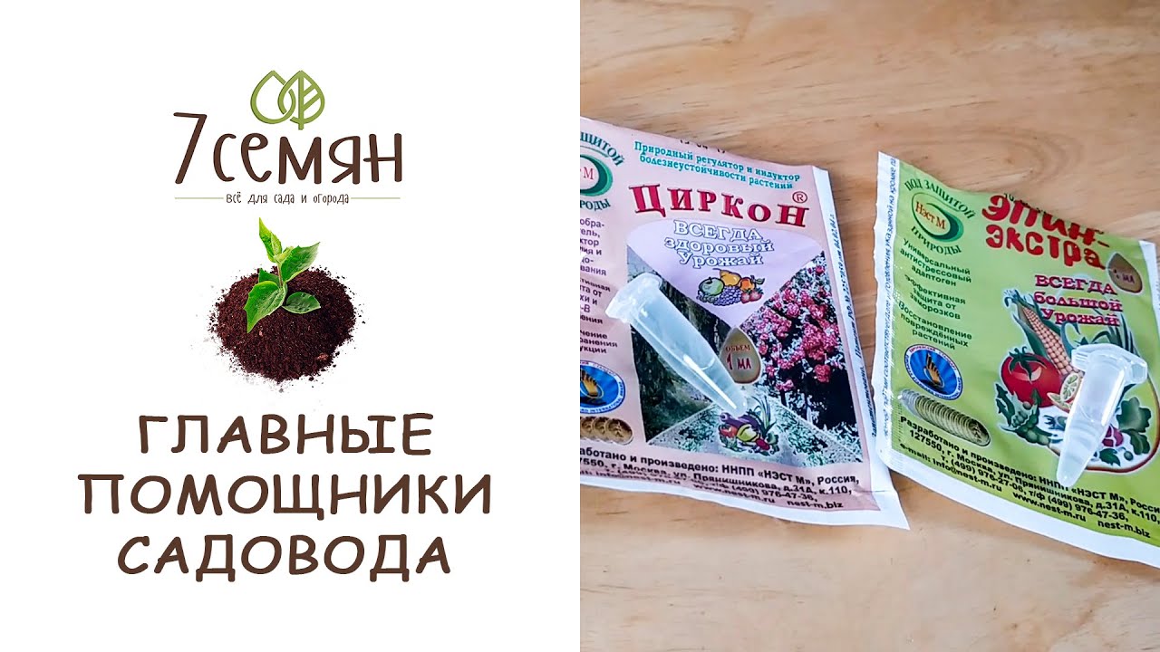 ЭПИН И ЦИРКОН - ПРЕПАРАТЫ, КОТОРЫЕ ДОЛЖНЫ БЫТЬ У КАЖДОГО САДОВОДА / 7 семян
