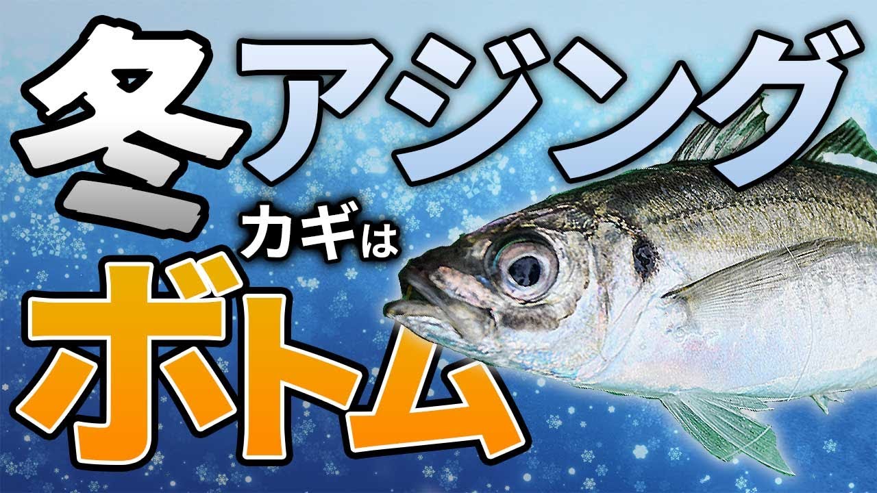 【冬アジング2023】どうすれば冬でもアジを釣ることができるのか？
