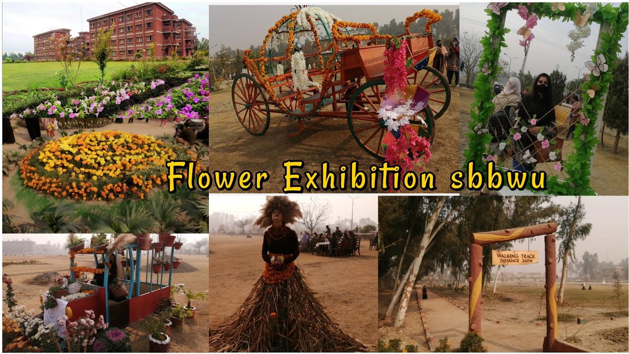 Shaheed Benazir Bhuto women university peshawar vlog|Flower Exhibition|By peshori blogger