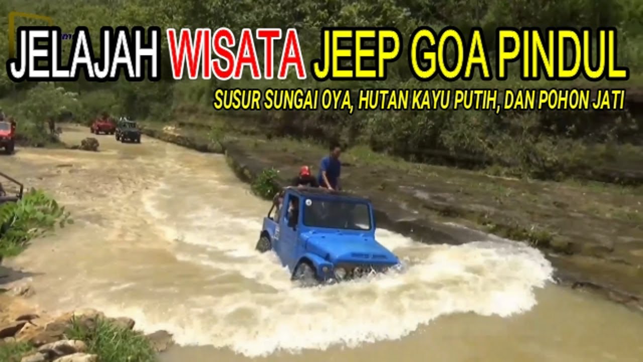 WISATA JEEP GOA PINDUL, JELAJAH KAWASAN HUTAN JATI DAN KAYU PUTIH YANG MENAWAN