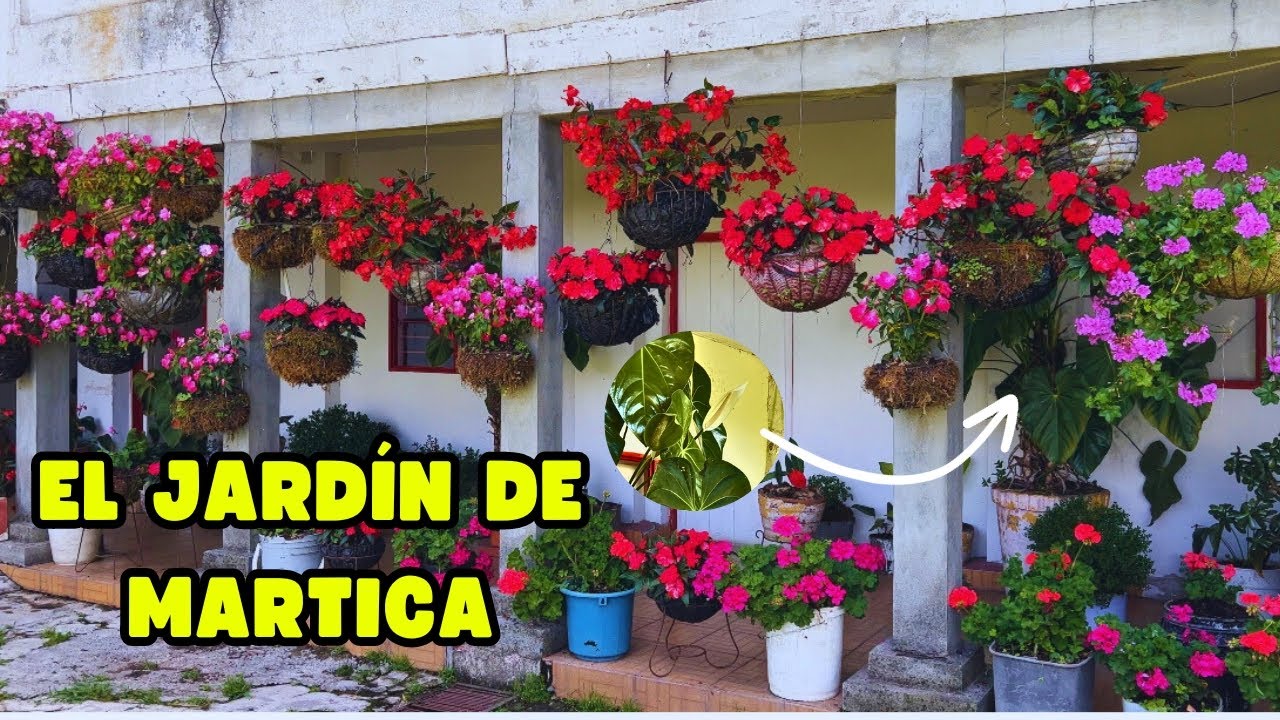 Una casa sin JARDÍN no tiene VIDA: Martica nos aconseja lo lindo de tener PLANTAS | AP