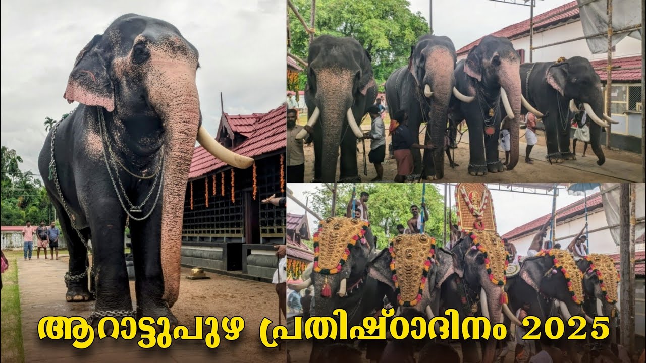 Arattupuzha prethishtadhinam 2025 ആറാട്ടുപുഴ പ്രതിഷ്ഠാദിനം 2025 Ukkens Kunju,Sk manikandan,kasinadan