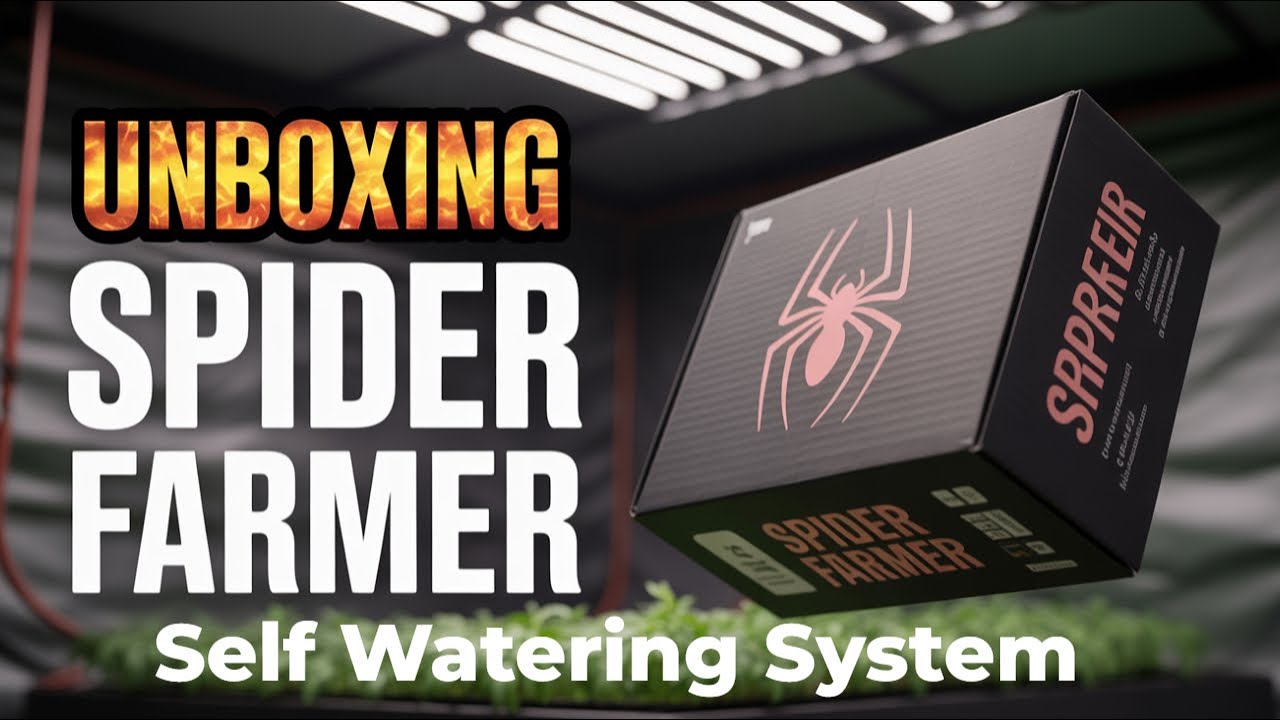 Can This Self Watering Kit Really Grow Plants Without Power?