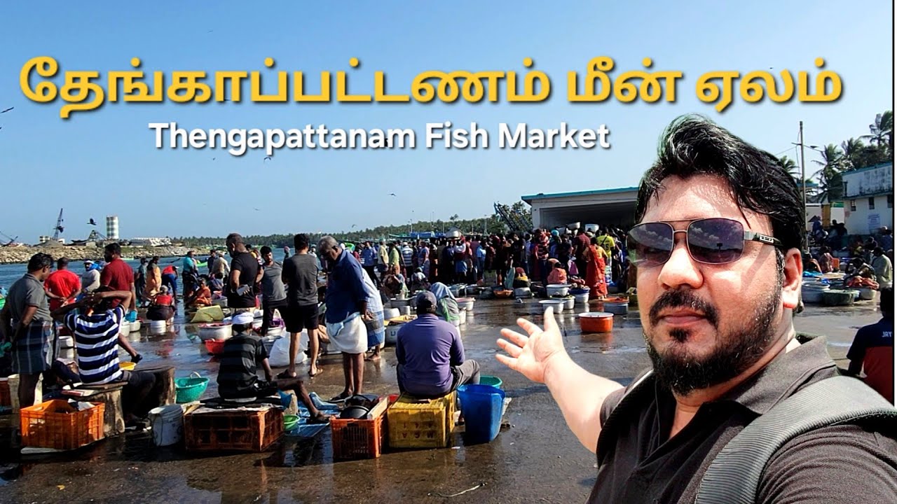 Thengapattanam Fish Market @jackwesvlogs தேங்காப்பட்டணம் மீன்பிடித் துறைமுகம் #fish #fishmarket 