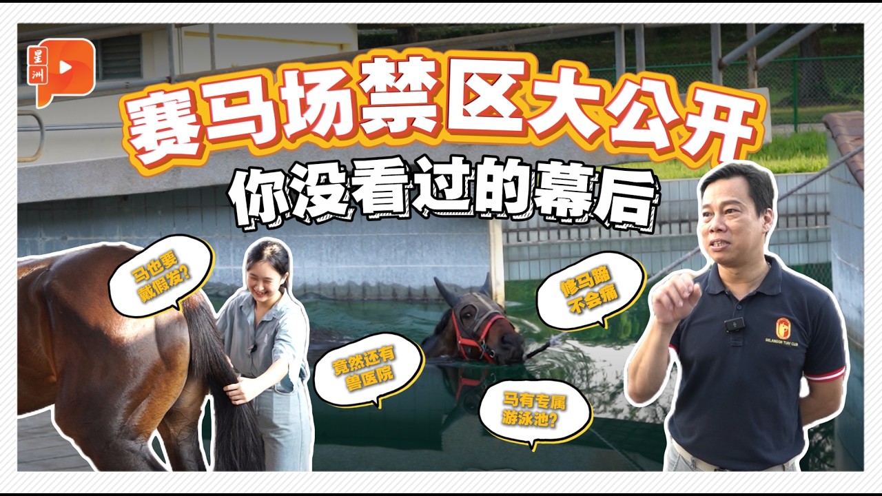 新年特备 | 赛马场探秘  速度背后的日与夜