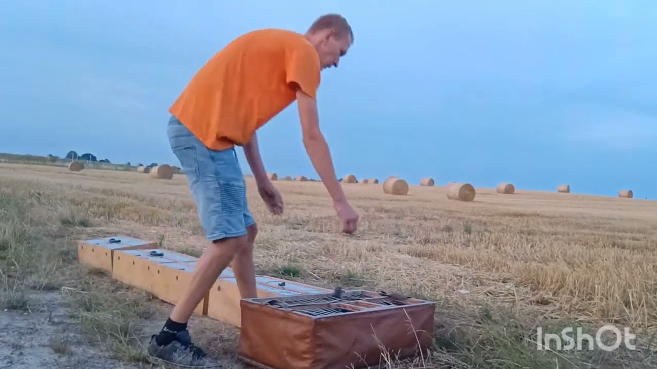 Jak walczyć z Chorobami u gołębi młodych (Adeno)