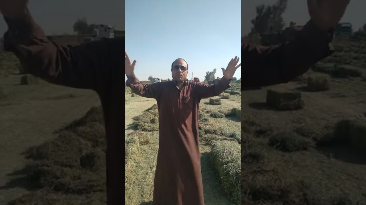 الفرافرة هروب صاحب شركه استصلاح اراضي إلي السعوديه ،àوفلوس الناس للتواصل واتس 01080457983 أبو أحمد