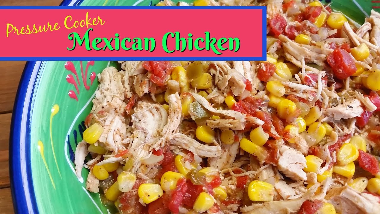 Pressure Cooker Mexican Chicken ~ Freezer Cooking ~ Amy Learns to Cook