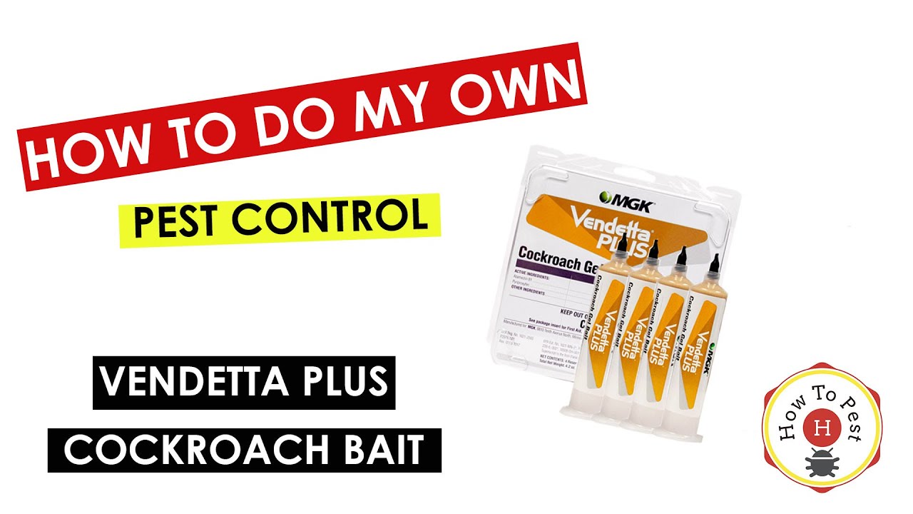 How to Get Rid of Cockroaches FAST | Vendetta Plus Roach Gel Bait Tutorial