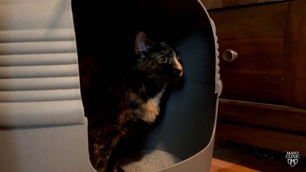 Mayo Clinic Minute: Pregnancy and toxoplasmosis