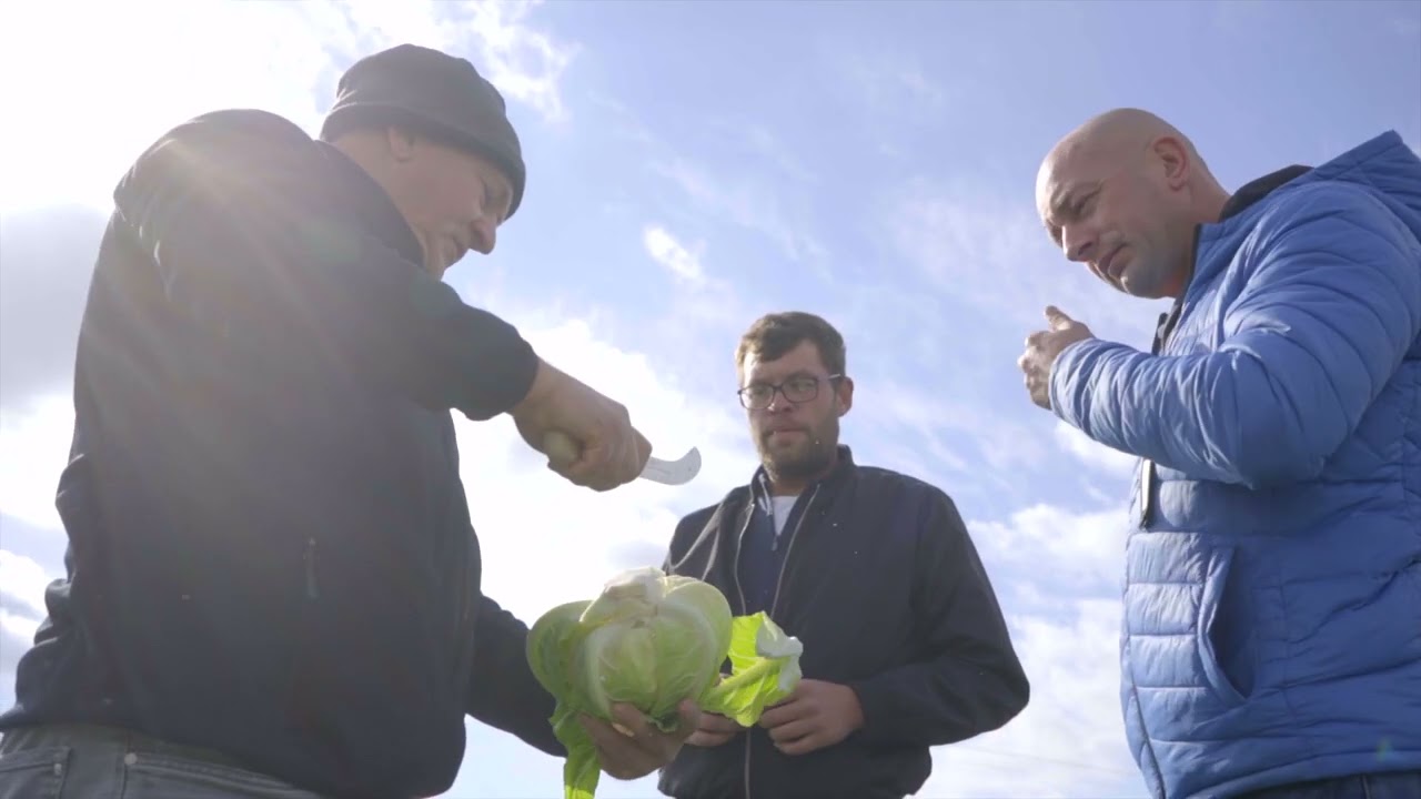 Przystanek KALAFIOR na bogato! Bo jest potencjał w genach.